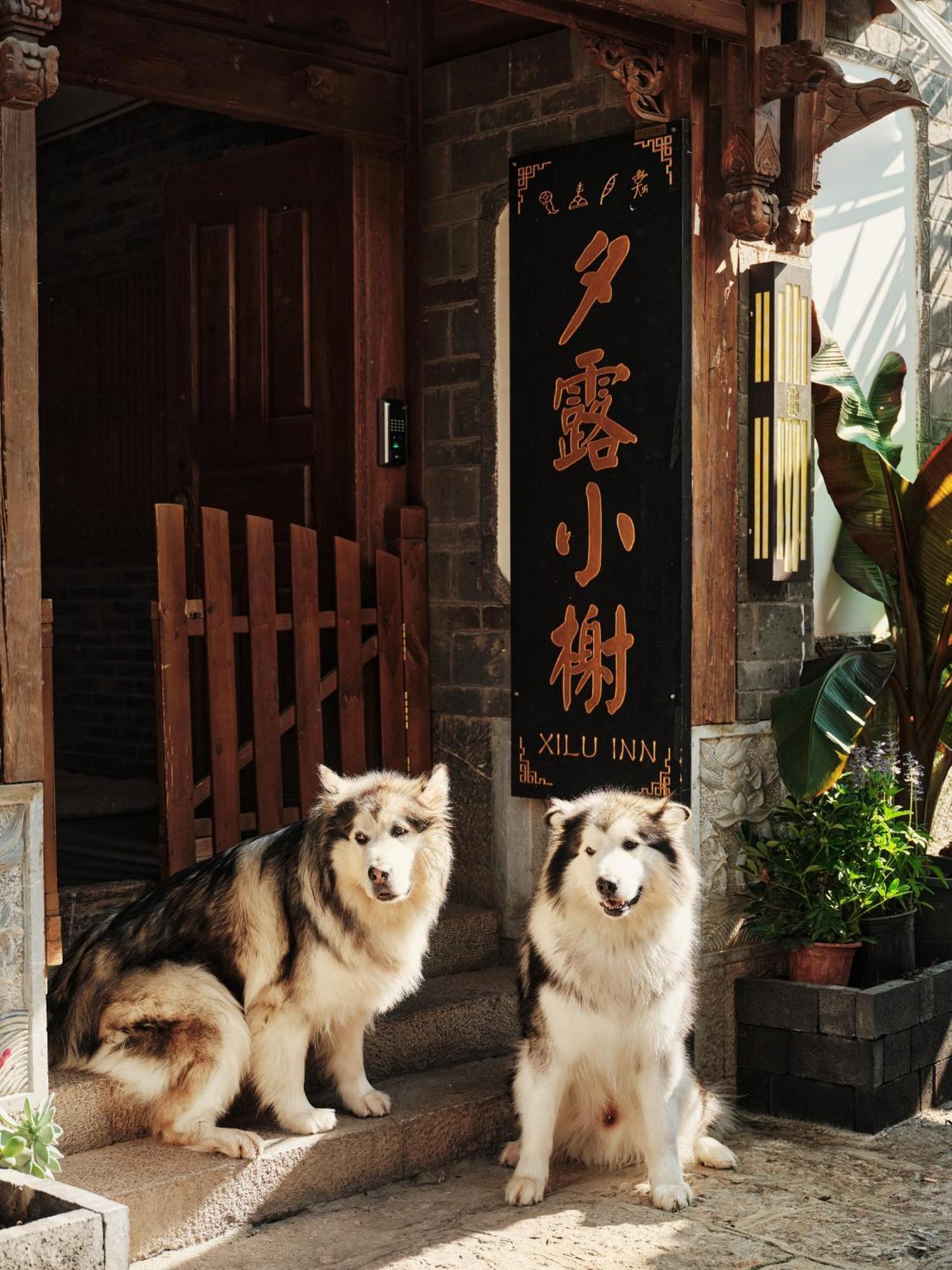 Xilu Xiaoxie Inn Old Town Lijiang Lijiang  Eksteriør bilde