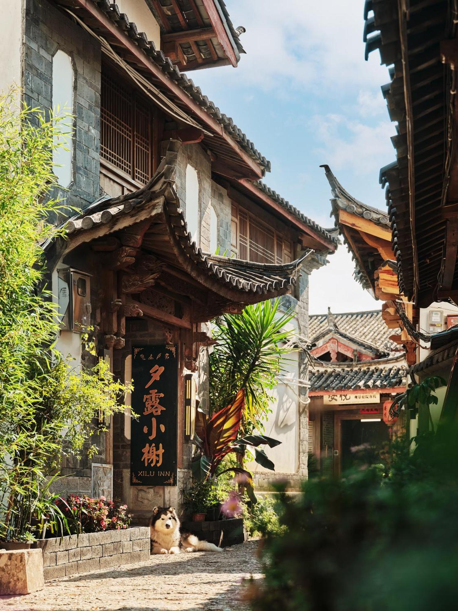 Xilu Xiaoxie Inn Old Town Lijiang Lijiang  Eksteriør bilde