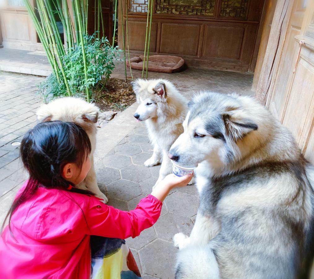 Xilu Xiaoxie Inn Old Town Lijiang Lijiang  Eksteriør bilde